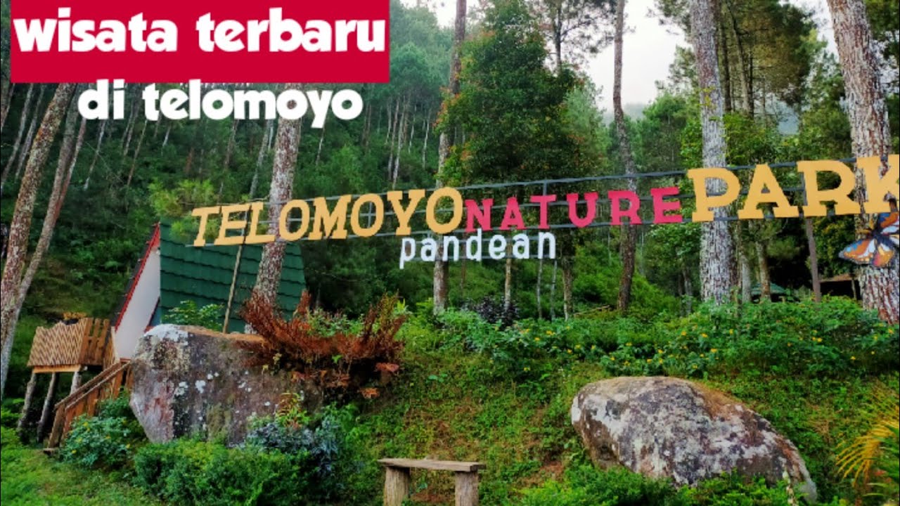 Telomoyo Nature Park: Pesona Alam Jawa Tengah yang Memikat